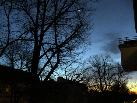 Weißensee in Berlin Abendrot mit Baum und Mond