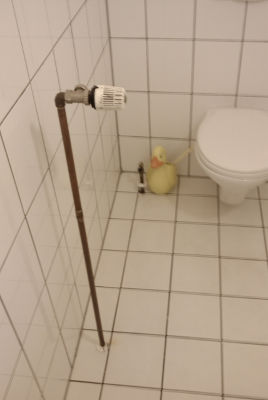 Heizungsrohr ohne Heizung auf der Toilette